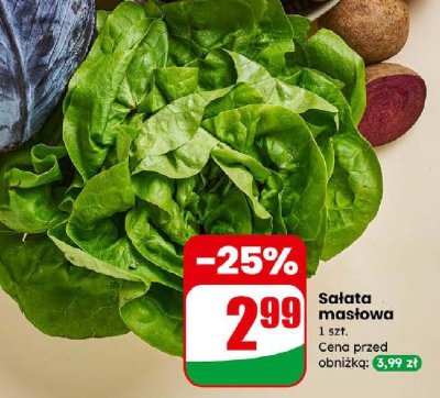 Sałata masłowa 1 szt. promocja w Dino
