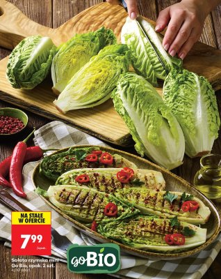 Sałata rzymska mini Go Bio promocja w Biedronka