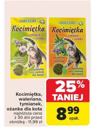 Kocimiętka FAUNA & FLORA promocja w Carrefour