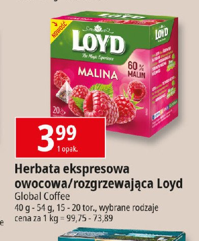 Herbata malinowa Loyd tea the magic experience promocja