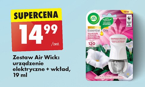 Odświeżacz + wkład księżycowa lilia otulona satyną Air wick electric essential oils promocja