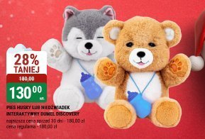 Pluszaki MIŚI HUSKY LUB MIŚI MALASEK interaktywny DUMEL DISCOVERY promocja w bi1