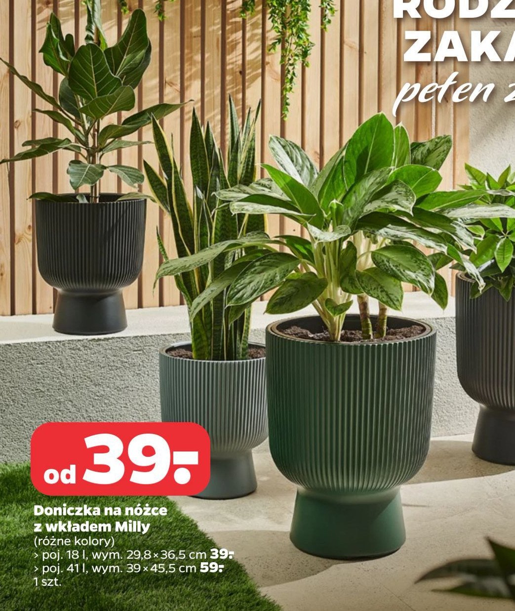 Doniczka milly 41l promocja w Netto