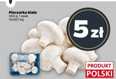Pieczarka biała promocja w Netto