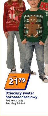 Dziecięcy sweter bożonarodzeniowy różne warianty Rozmiary 98-140 promocja w Action