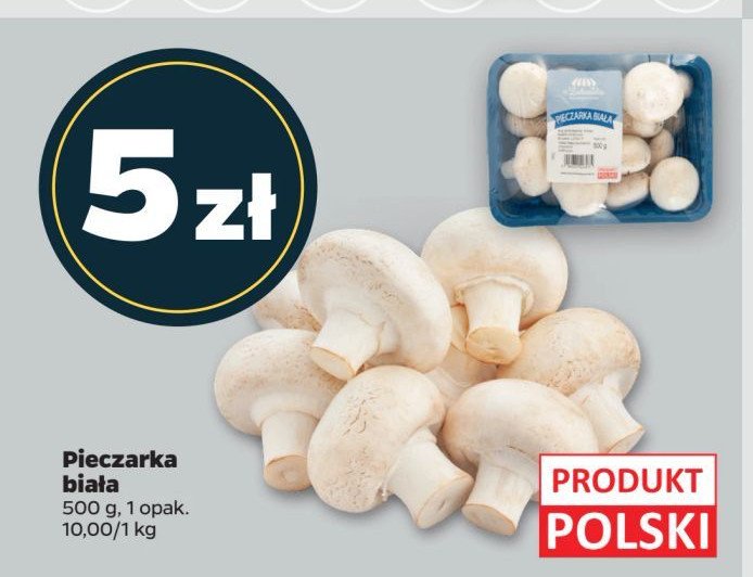 Pieczarki białe Z ZIELENIAKA NETTO promocja