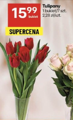Tulipany promocja w Delikatesy Centrum