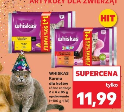 Karma dla kotów różne rodzaje promocja w Kaufland