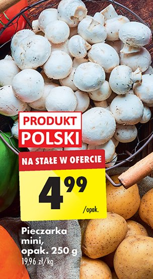 Pieczarki mini polska promocja