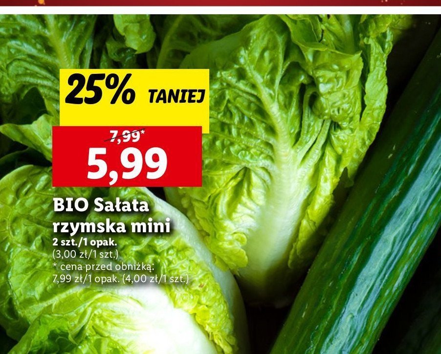 Sała bio rzymska mini promocja