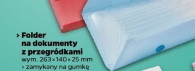 Folder na dokumenty z przegródkami (różne kolory) promocja w Netto