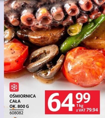 Ośmiornica cała ok. 800g promocja w Selgros