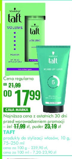 Puder do w艂os贸w Taft instant volume powder promocja