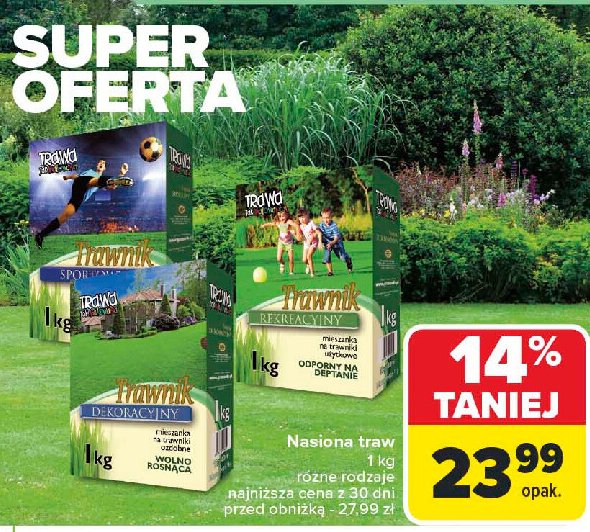 Trawnik rekreacyjny Trawa jak malowana promocja w Carrefour