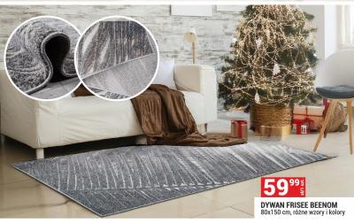 Dywan FRISEE BEENOM 80x150 cm, różne wzory i kolory promocja w Merkury Market