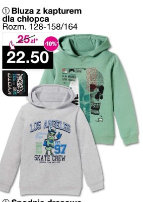 Bluza z kapturem dla chłopca promocja w Woolworth