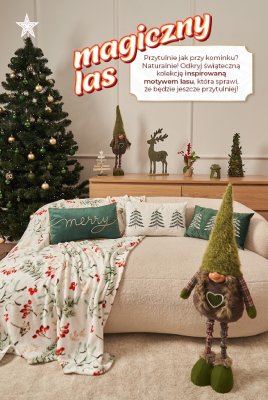 DOM PEŁEN MAGII - KATALOG DEKORACJI, strona 19 promocja w Dealz