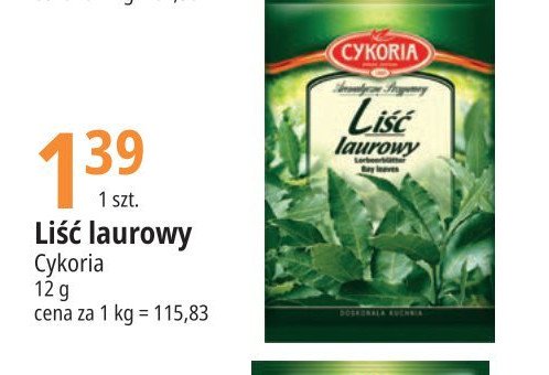 Li艣c laurowy Cykoria promocja