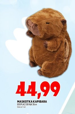 Maskotka promocja w TOPAZ
