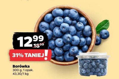 Borówka promocja w Netto