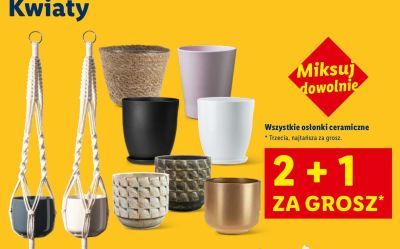 Osłonki ceramiczne wszystkie promocja w Lidl
