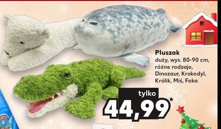 Maskotka foka promocja