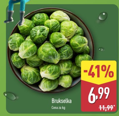 Brukselka Aldi promocja w Aldi
