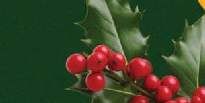 Gazetka Eurospar, strona 16 promocja w SPAR