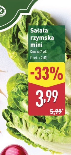 Sa艂atka rzymska mini promocja