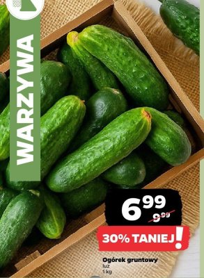 Ogórek gruntowy promocja w Netto