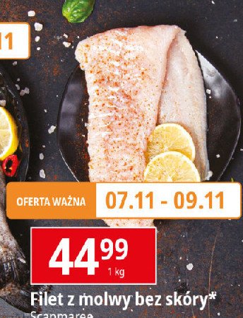 Molwa filet bez skóry Scapmaree promocja