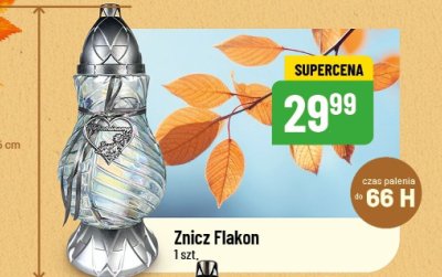 Znicz promocja w POLOmarket