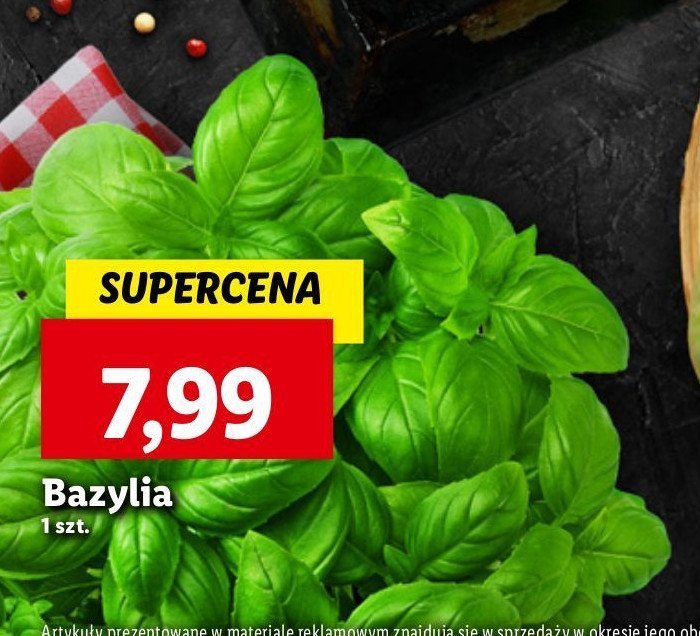 Bazylia promocja w Lidl