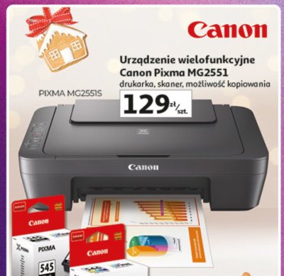 Urządzenie wielofunkcyjne Canon Pixma MG2551 promocja w Auchan