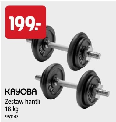 Zestaw hantli 18 kg KAYOBA promocja w Jula