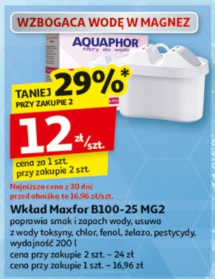 Wkład Maxfor B100-25 MG2 wzbogacający wodę w magnez promocja w Auchan