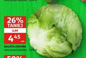 Sa艂ata lodowa promocja