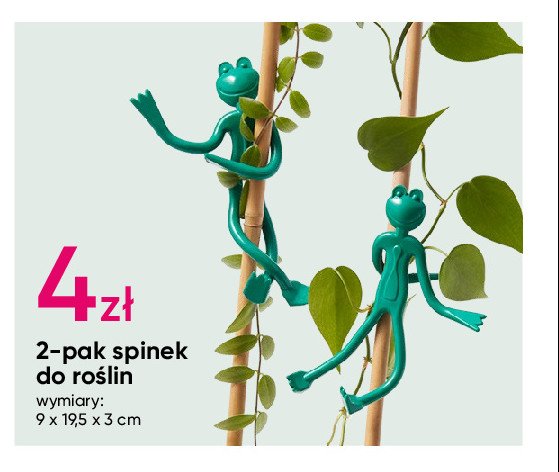 Spinki do roślin 9 x 19.5 x 3 cm promocja w Pepco