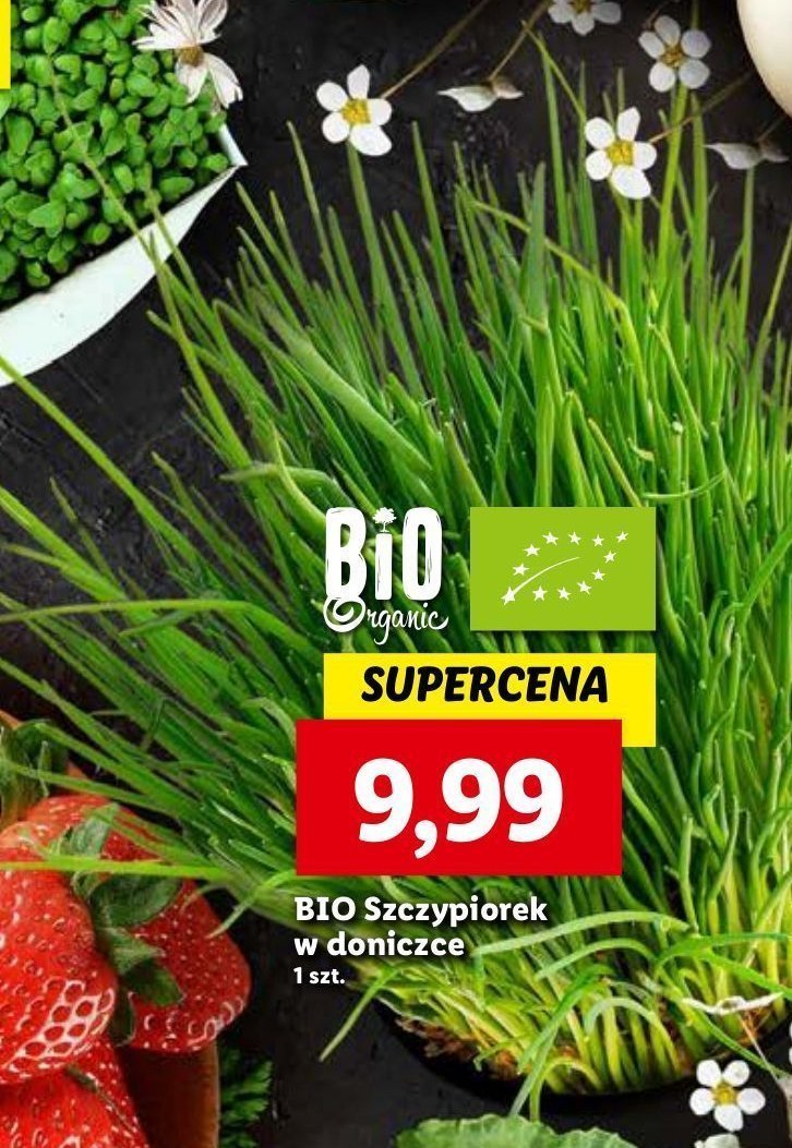 Szczypiorek bio promocja