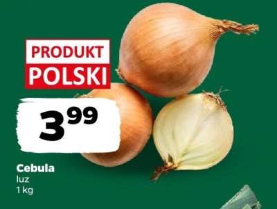 Cebula promocja w Netto