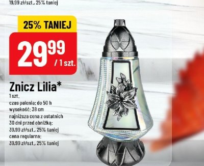 Znicz Lilia promocja w POLOmarket