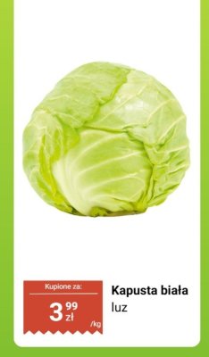 Kapusta biała luz promocja w Biedronka