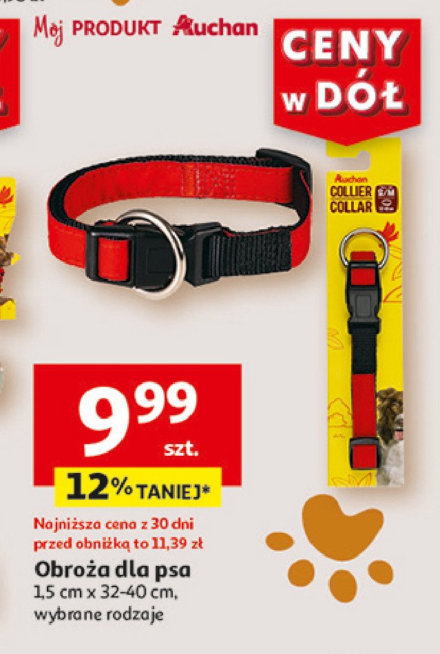 Obroża dla psa 32-40 cm Auchan promocja