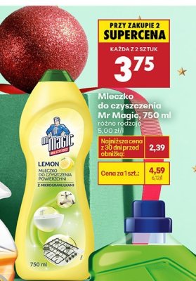 Mleczko do czyszczenia Mr Magic, 750 ml różne rodzaje promocja w Biedronka