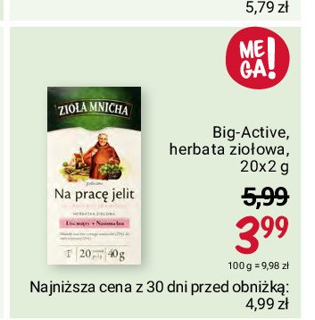 Herbatka na prac臋 jelit Big-active promocja