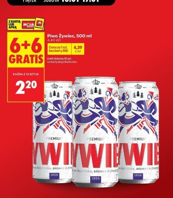 Piwo Żywiec 500 ml promocja w Biedronka