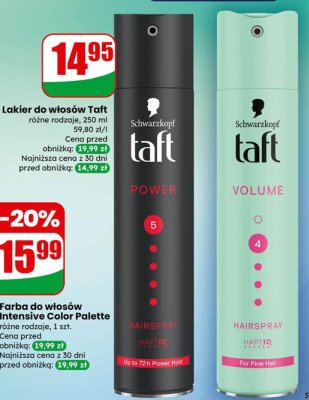 Lakier do włosów Taft różne rodzaje promocja w Dino