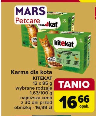 Karma dla kota z indykiem Kitekat promocja