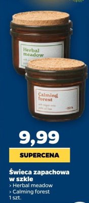 Świeca zapachowa w szkle Calming forest promocja w Netto