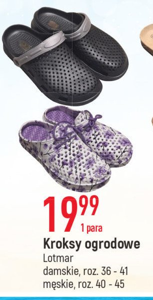 Kroksy m臋skie 40-45 Lotmar promocja
